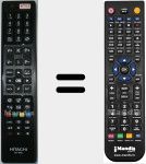 Comando &agrave; dist&acirc;ncia substituto de RC4848 (23290841)