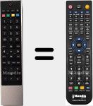 Comando &agrave; dist&acirc;ncia substituto de RC3910 (75020598)