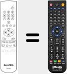 Comando &agrave; dist&acirc;ncia substituto de RCN 621