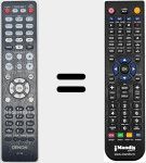 Comando &agrave; dist&acirc;ncia substituto de RC1249 (30701028810AD)