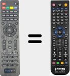 Comando &agrave; dist&acirc;ncia substituto de REMCON2110