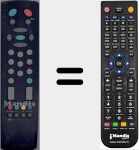 Comando &agrave; dist&acirc;ncia substituto de RC 2100 (20087557)