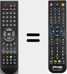 Comando &agrave; dist&acirc;ncia substituto de RCC301