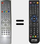 Comando &agrave; dist&acirc;ncia substituto de NS18100