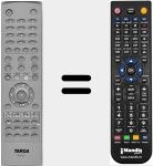 Comando &agrave; dist&acirc;ncia substituto de R3010