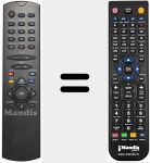 Comando &agrave; dist&acirc;ncia substituto de RC 2546 (31000529)