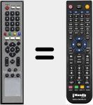 Comando &agrave; dist&acirc;ncia substituto de T1