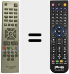 Comando &agrave; dist&acirc;ncia substituto de CT2838 (20403847)