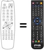 Comandos à distância equivalente 1007091008 (90 CHANNELS)